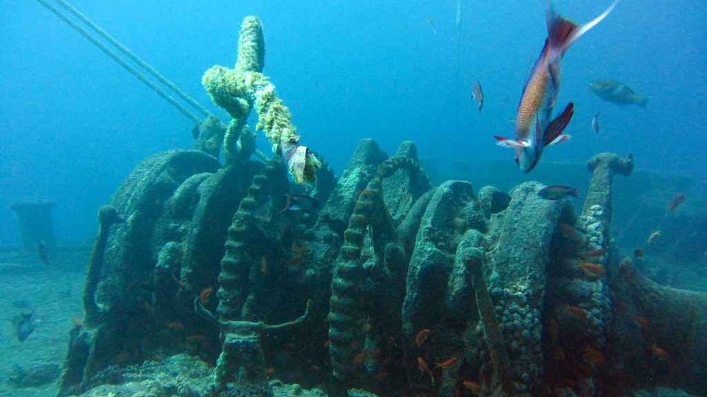 Северное сафари, март 2013 Северное сафари, март 2013