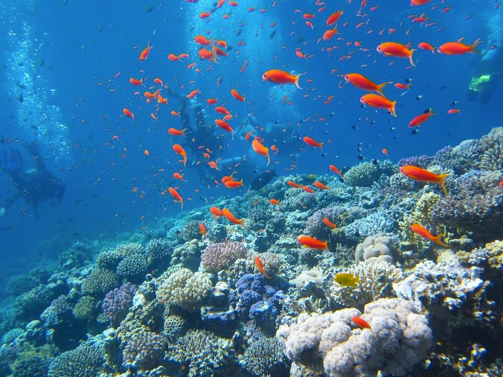 Зимнее солнце в Дахабе Зимнее солнце в Дахабе