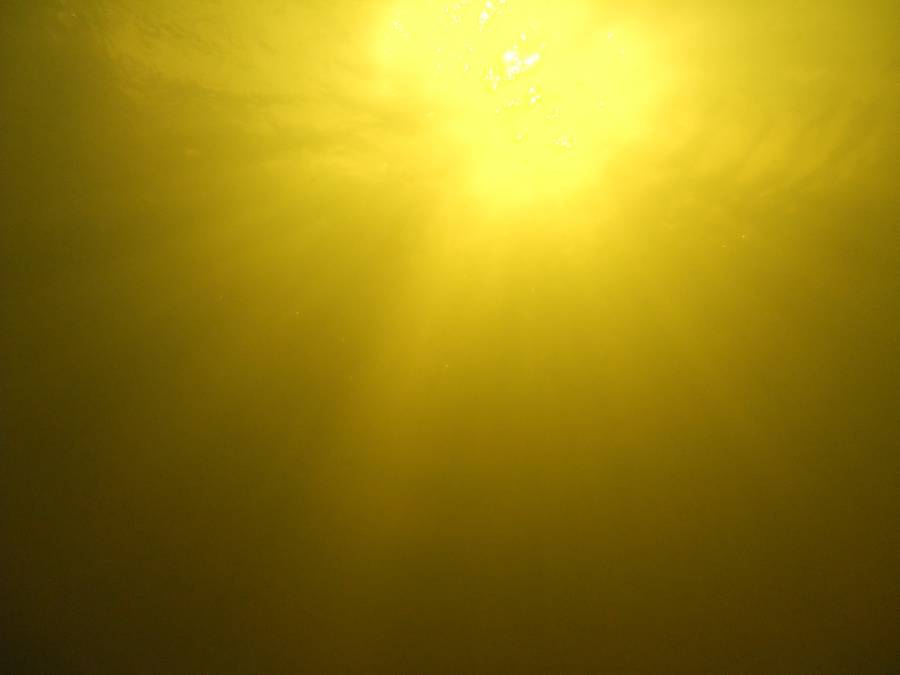 укенгш укенгш