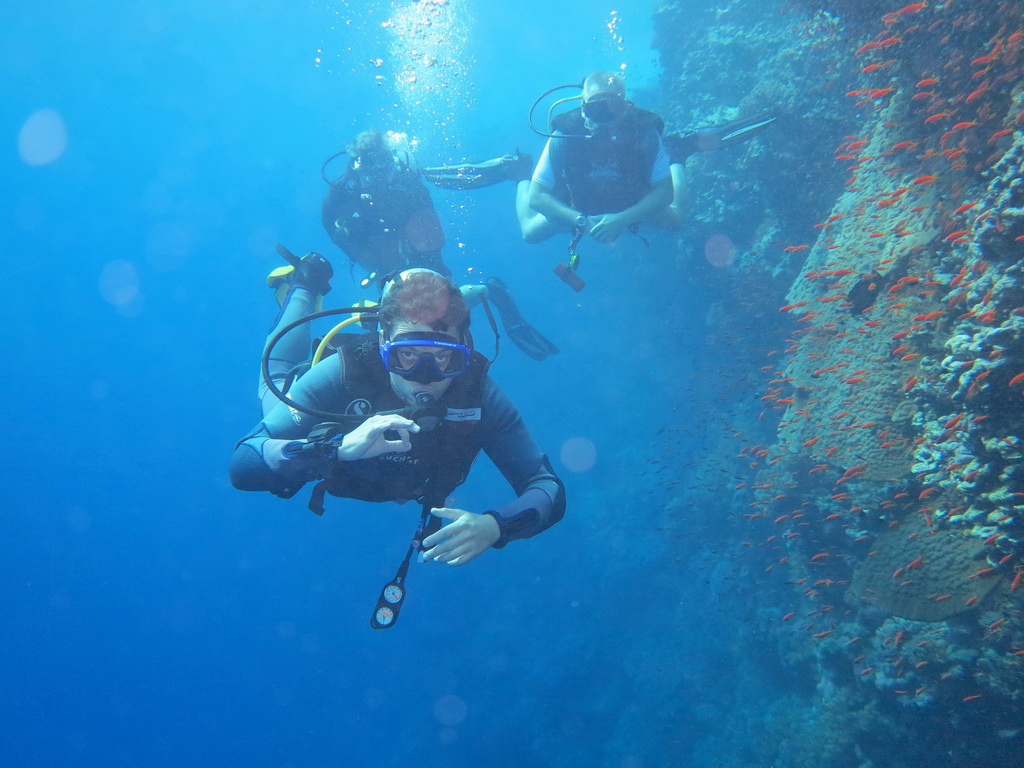 Сафари на Sea Serpent в июле 2013. Бразерсы, Дедалус, Эльфинстоун Сафари на Sea Serpent в июле 2013. Бразерсы, Дедалус, Эльфинстоун