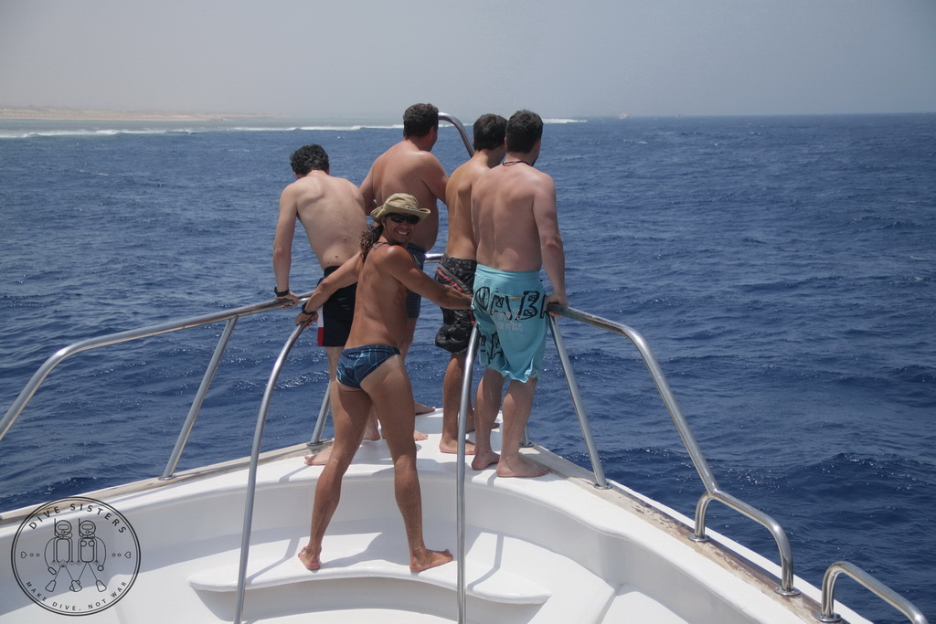 Сафари на Sea Serpent в июле 2013. Бразерсы, Дедалус, Эльфинстоун