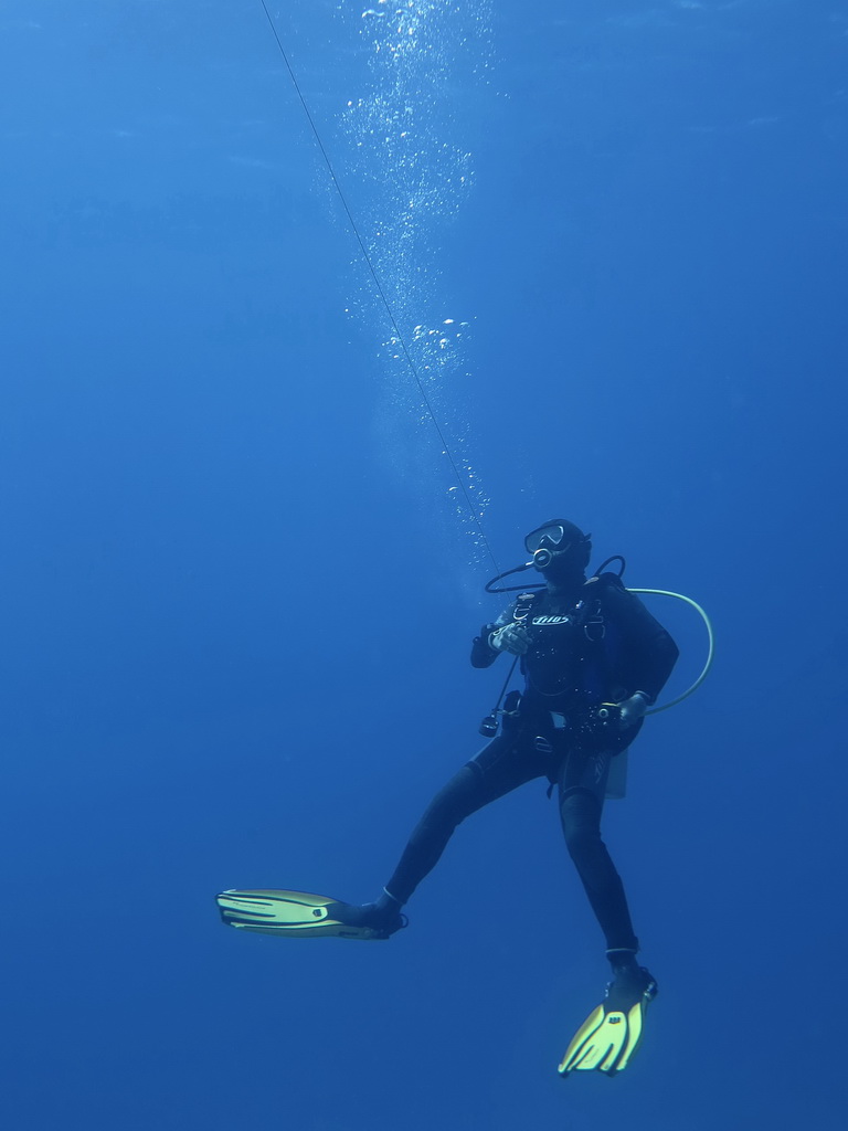 Сафари на Sea Serpent в июле 2013. Бразерсы, Дедалус, Эльфинстоун