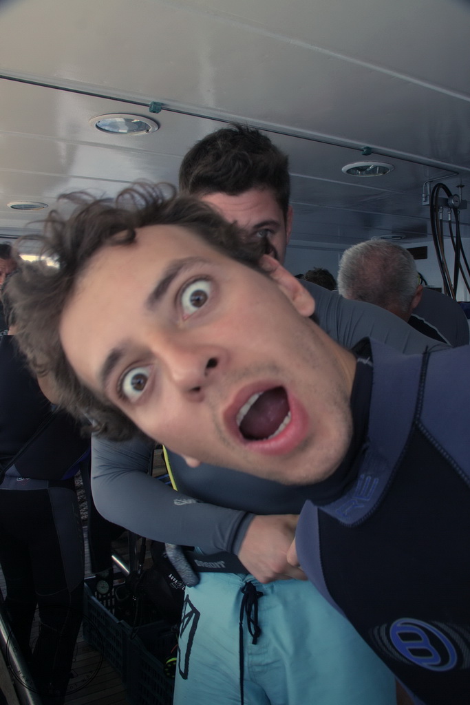 Сафари на Sea Serpent в июле 2013. Бразерсы, Дедалус, Эльфинстоун Сафари на Sea Serpent в июле 2013. Бразерсы, Дедалус, Эльфинстоун