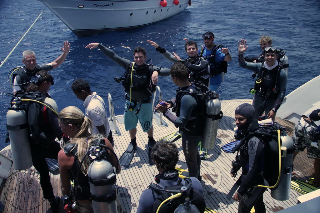 Сафари на Sea Serpent в июле 2013. Бразерсы, Дедалус, Эльфинстоун