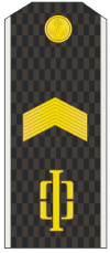 гл. старшина