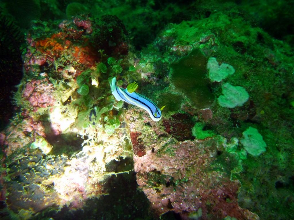 Филиппины 2014 Филиппины 2014