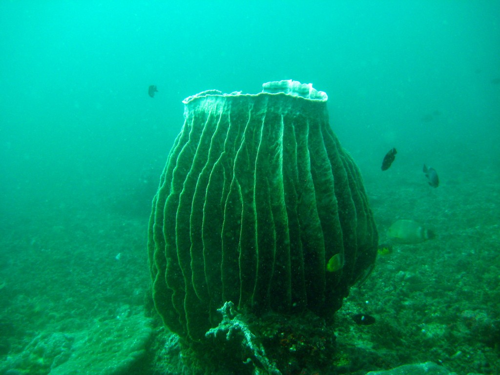 Филиппины 2014 Филиппины 2014