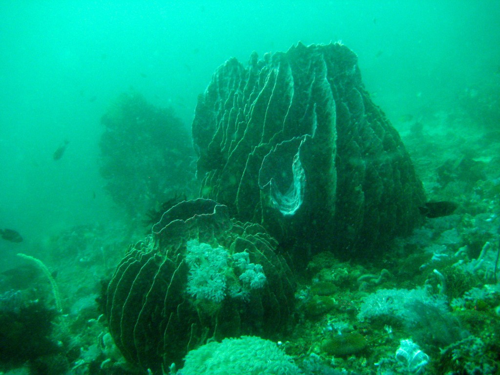 Филиппины 2014 Филиппины 2014