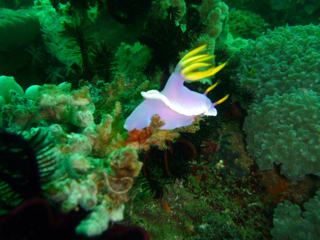 Филиппины 2014 Филиппины 2014