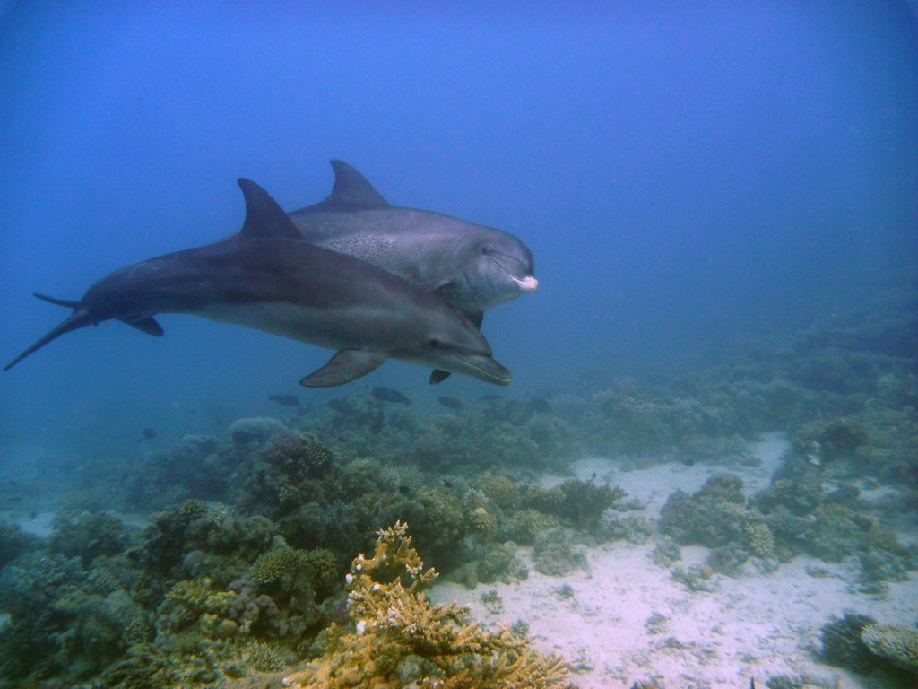 Север, январь 2015 Север, январь 2015