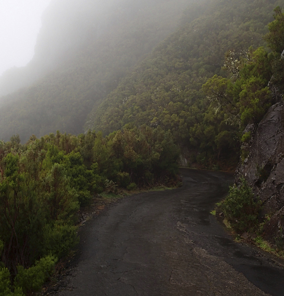 Дорога в облако Дорога в облако