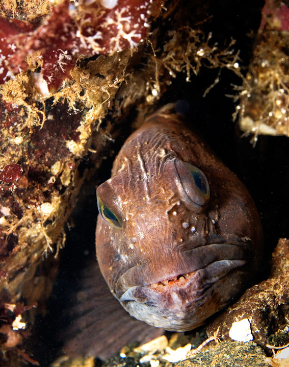 Ну, здоровО, пацаны... Ну, здоровО, пацаны...