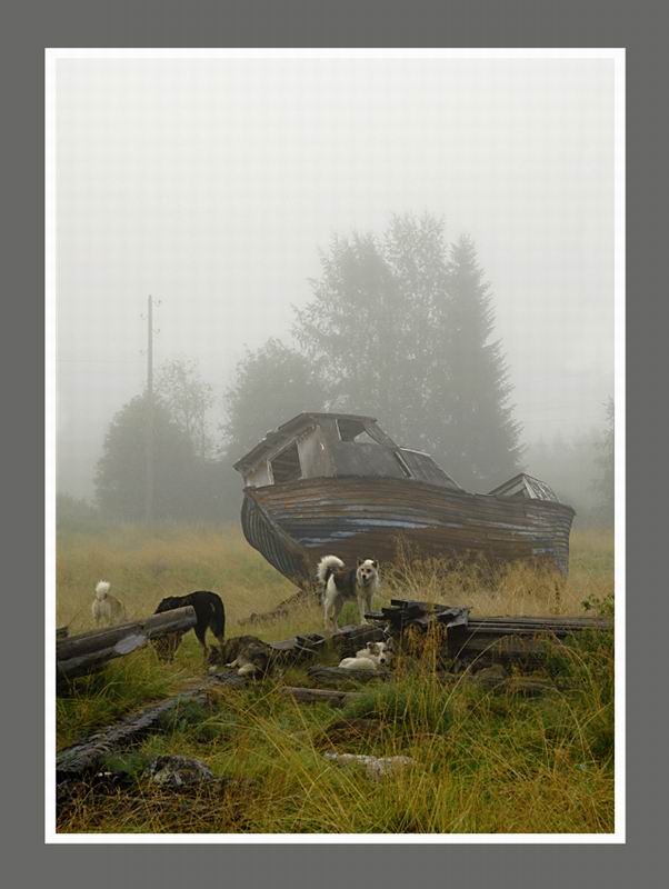 Туман. Туман.