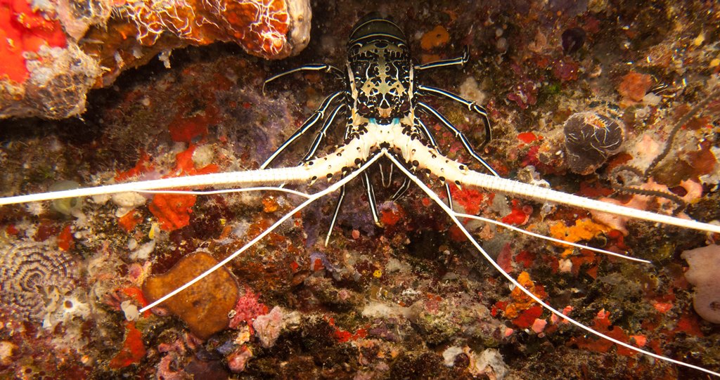 мальдивы 2015 мальдивы 2015