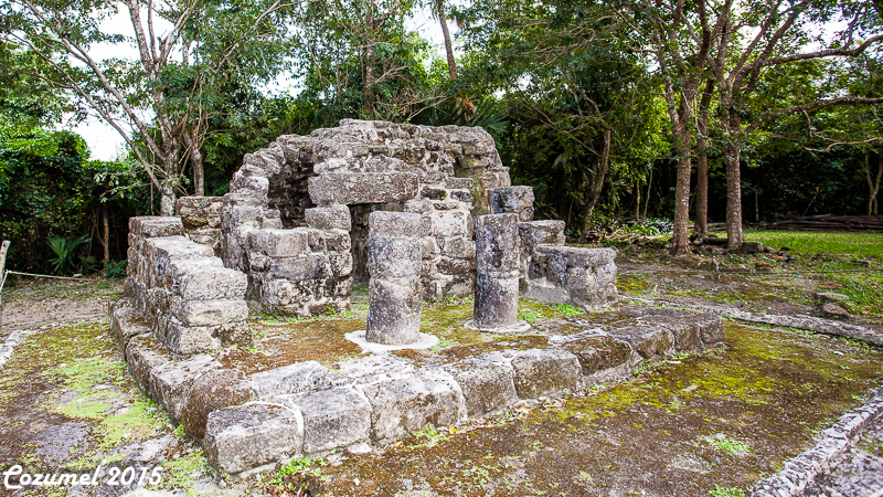 Cozumel 2015
