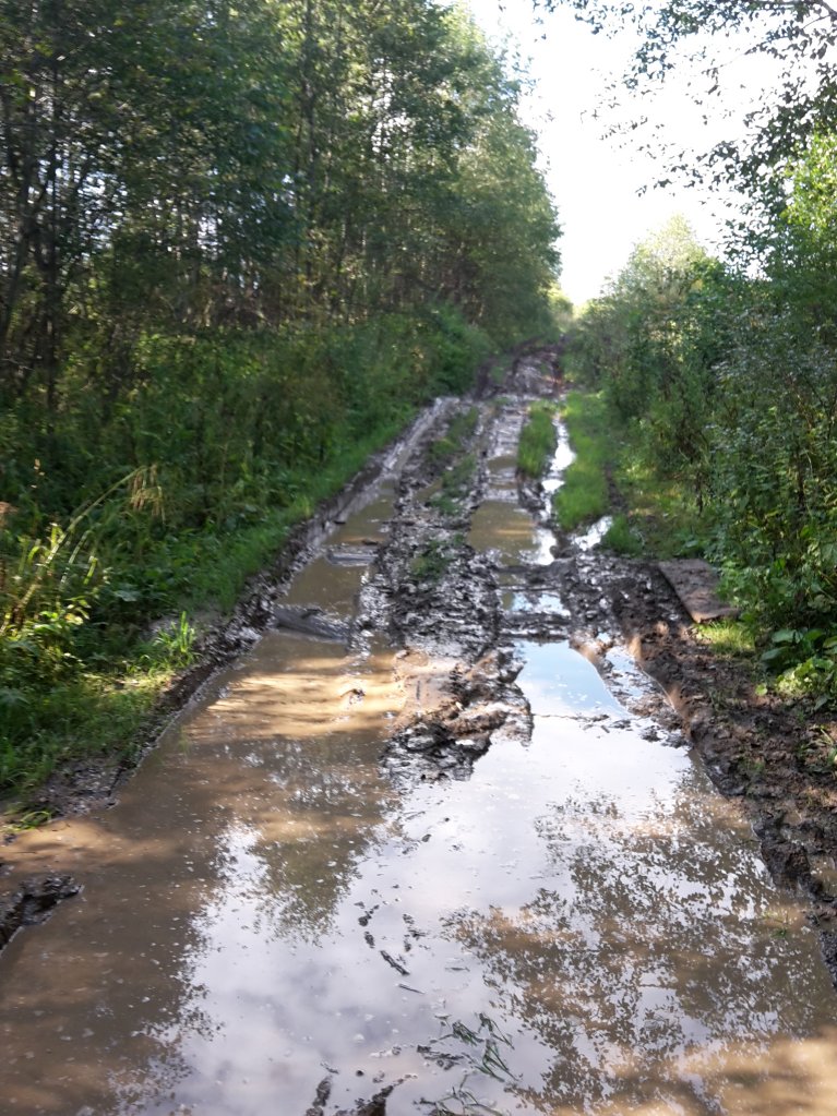 спуск к ручью