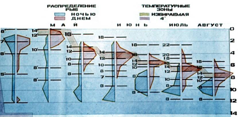 термостратификация на озере с мая по август