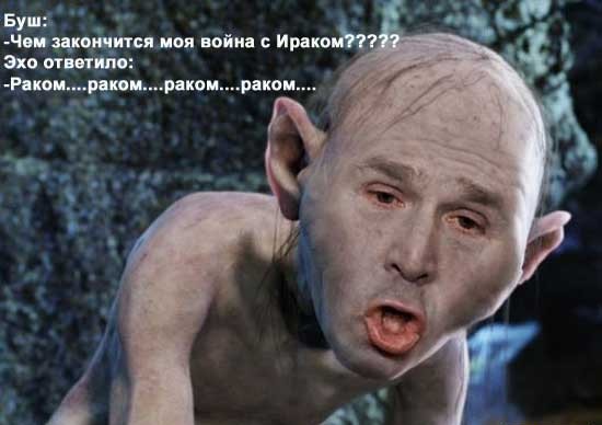 буш