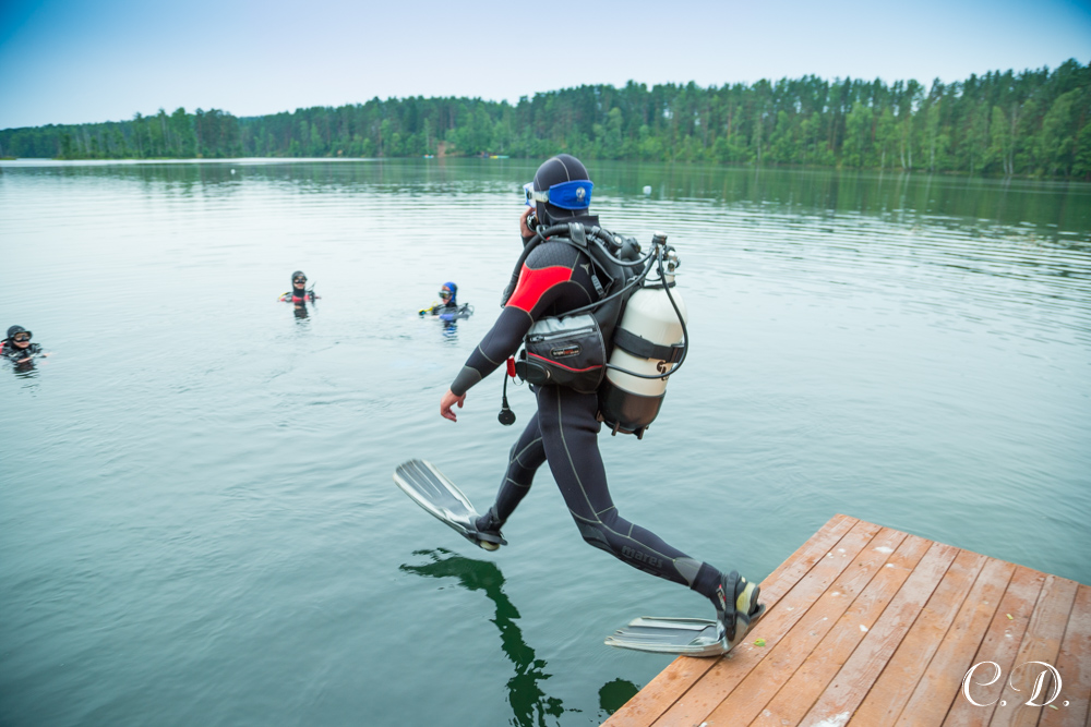 аврора аврора