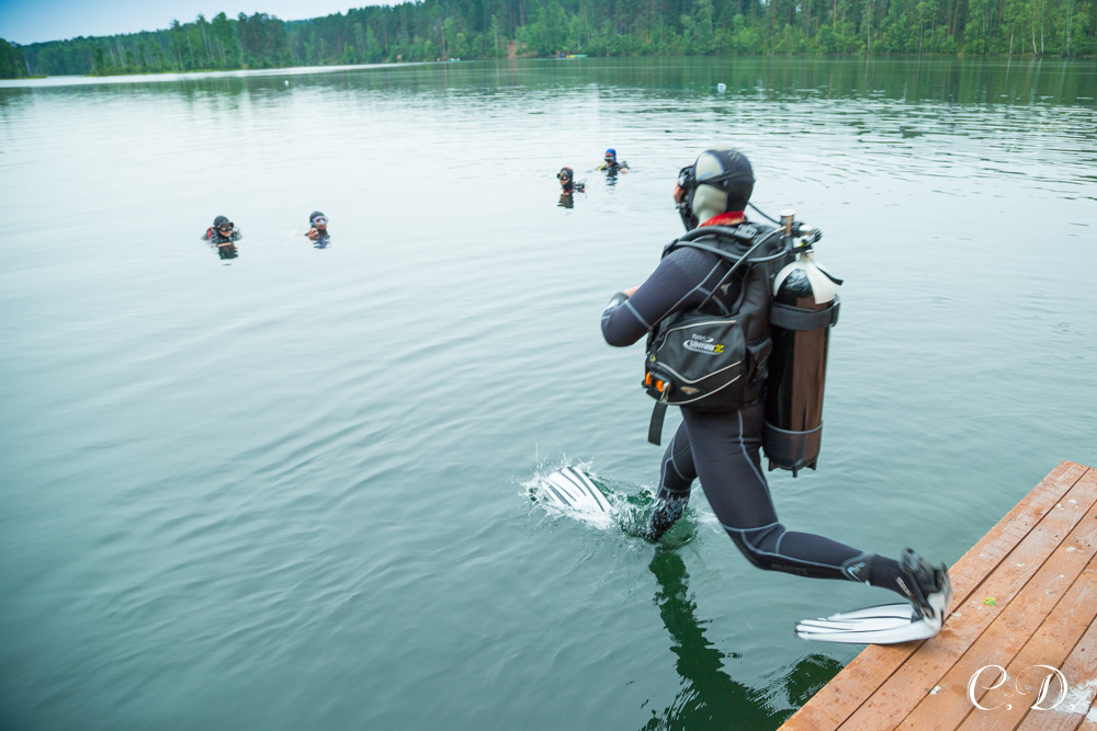 аврора аврора