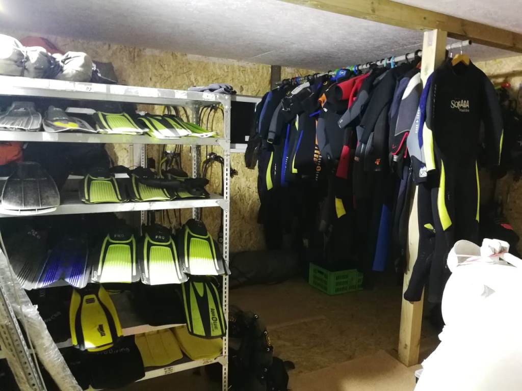 новая база новая база