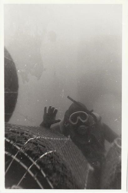 Искусственный риф на Черном море Искусственный риф на Черном море