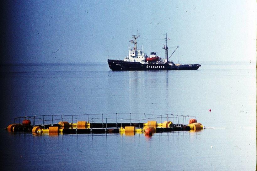Судно-носитель подводного аппарата "Риф"