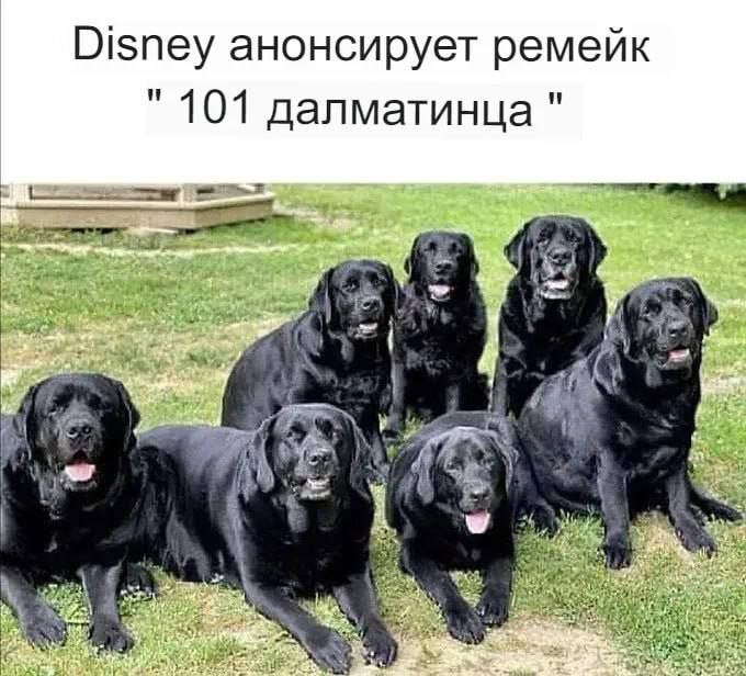 Далматинцы от Netflix