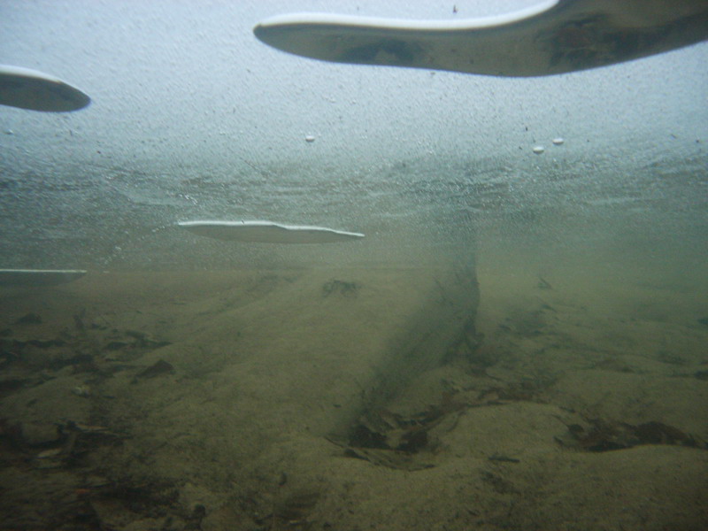 Марченково НГ 2007