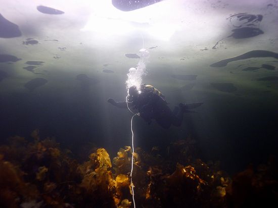 Полярный Круг