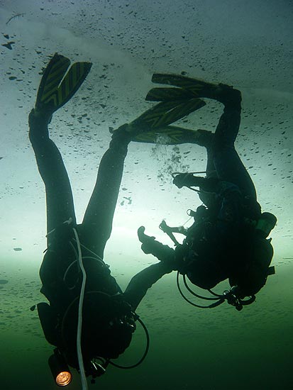 Полярный Круг