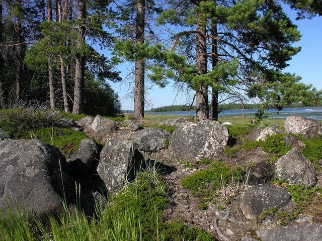Белое море