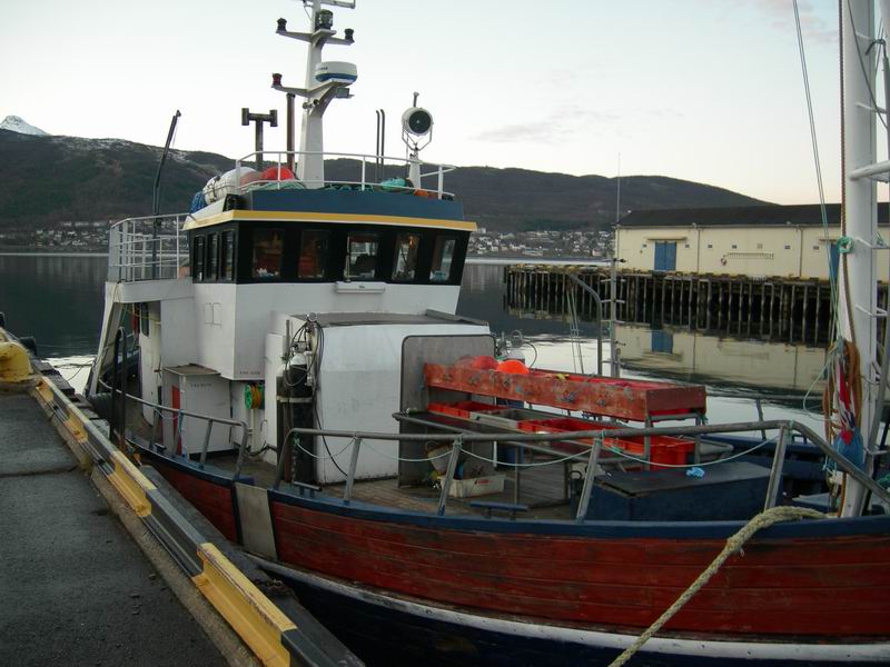 Норвегия. Весна 2009. Планы. Норвегия. Весна 2009. Планы.