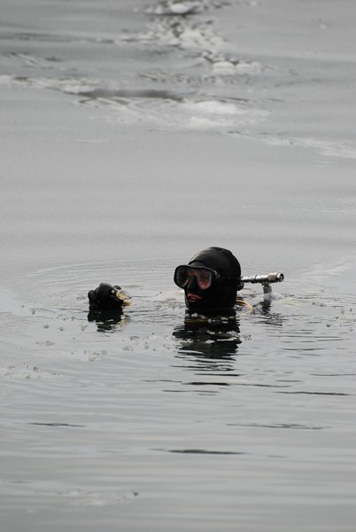 Жабий карьер