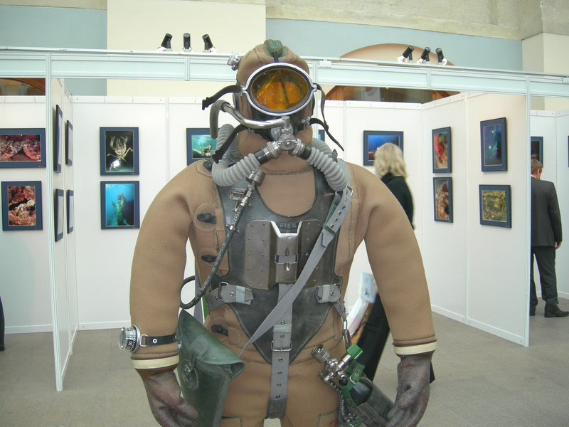 Золотой дельфин 2007