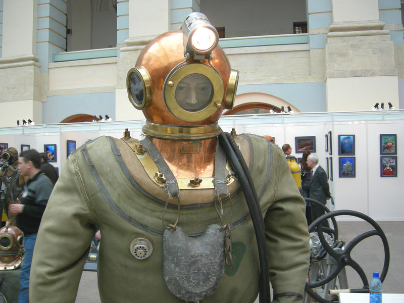 Золотой дельфин 2007