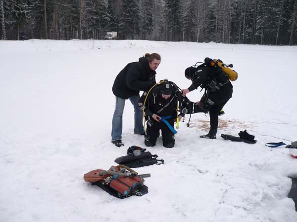 Алексей Павлов и ко. Алексей Павлов и ко.