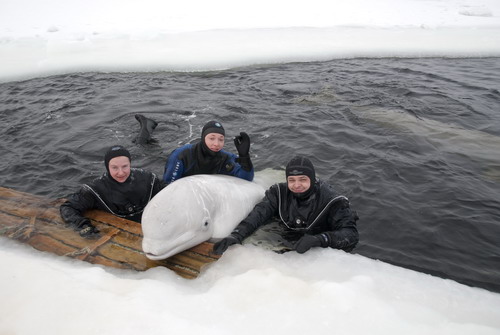 Белое море фев09