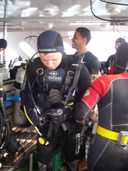 Красное море - 2009