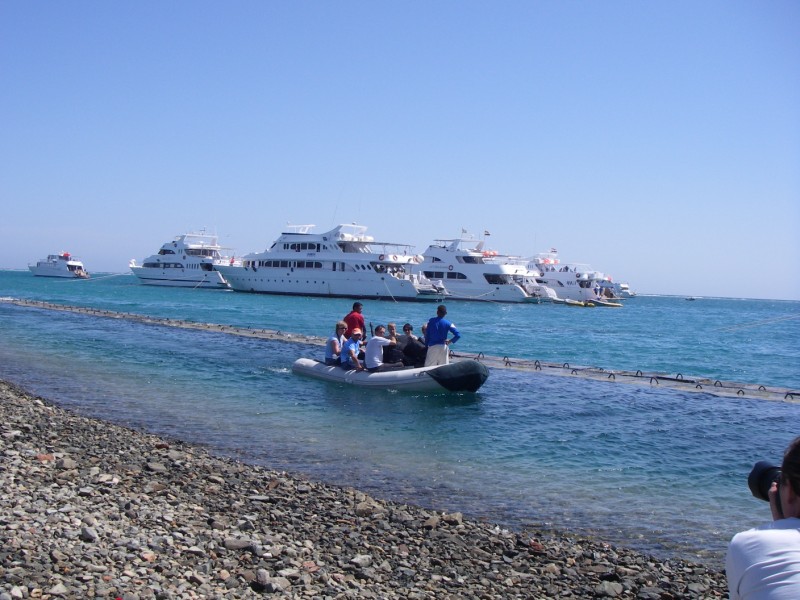 Красное море - 2009