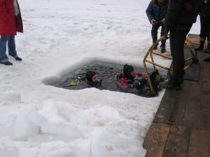 Пирсинг - погружения у пирса Пирсинг - погружения у пирса