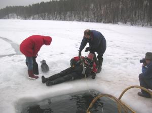 Там вам не тут Там вам не тут