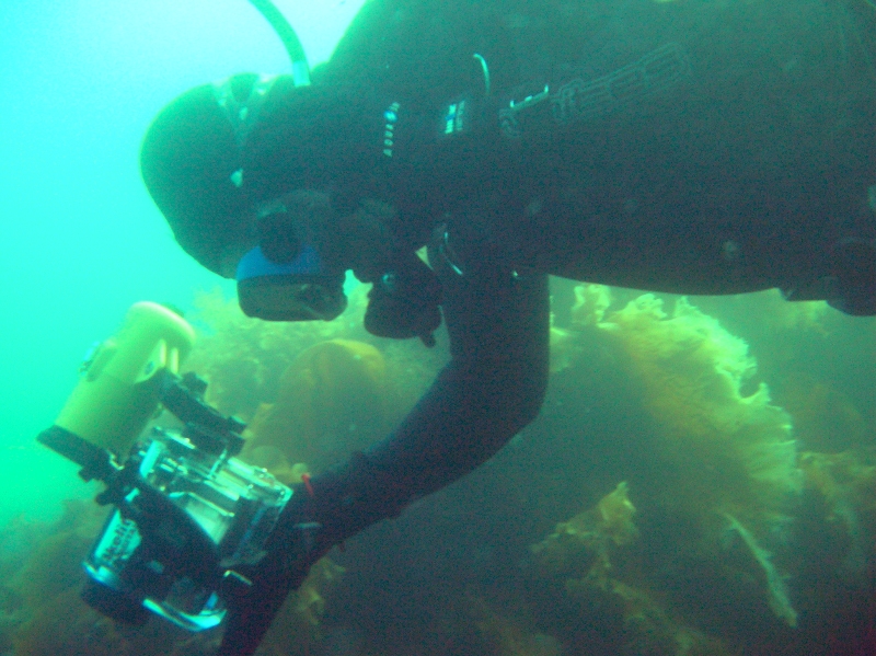 я с камерой