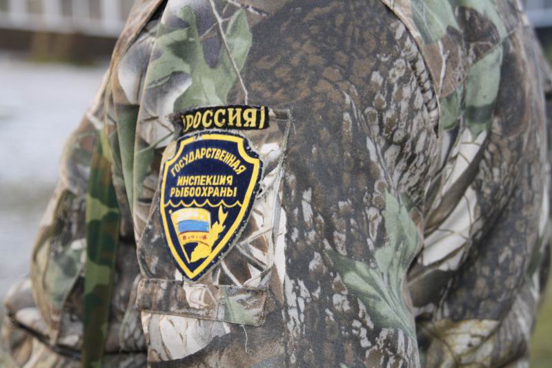 Инспекция (ГИР) Инспекция (ГИР)