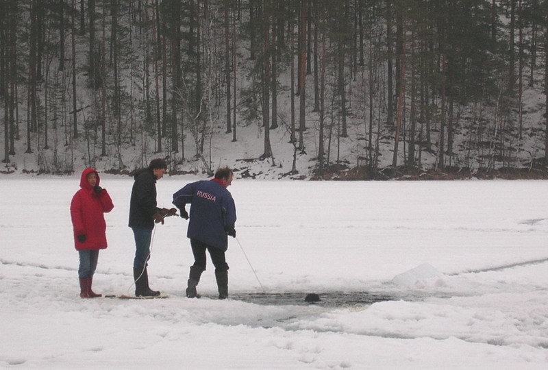 Поляны Поляны