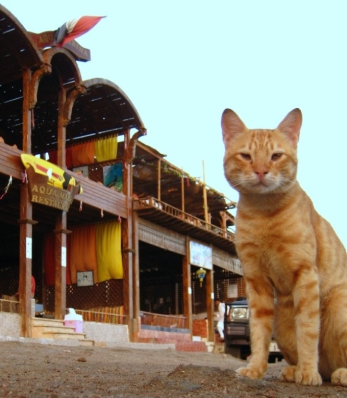 Дахаб, Блу Хол.