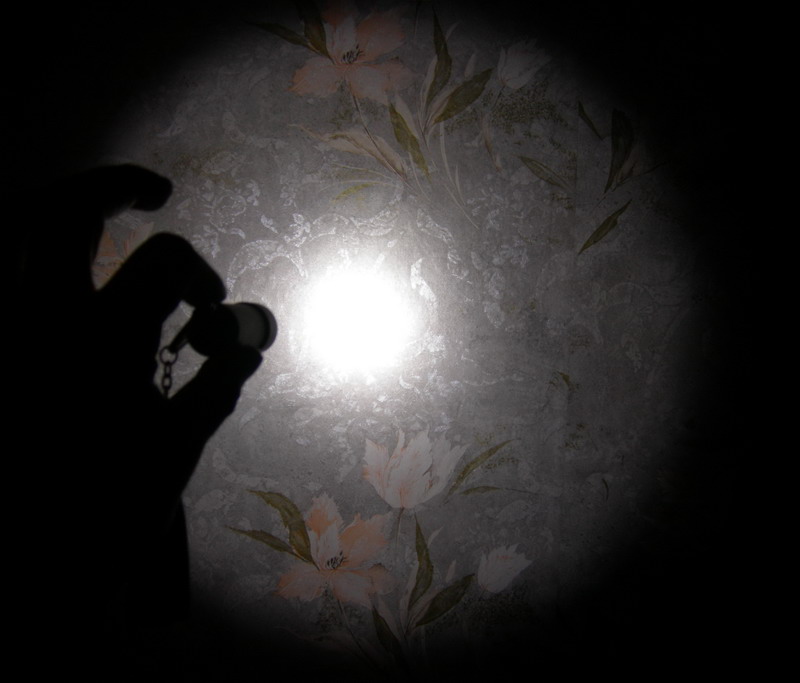 ФОНАРИК ТЕСТ