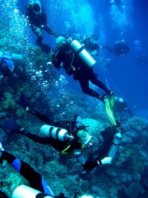 Коллективный дайвинг. Коллективный дайвинг.