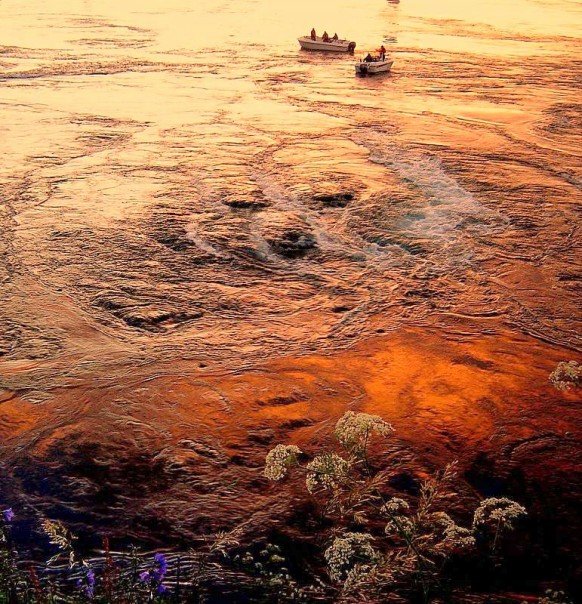 сальтстраумен сальтстраумен