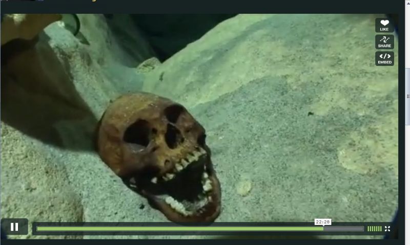 Череп в пещере Череп в пещере